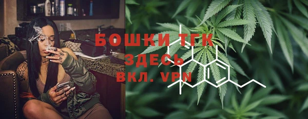 прущие грибы Аркадак