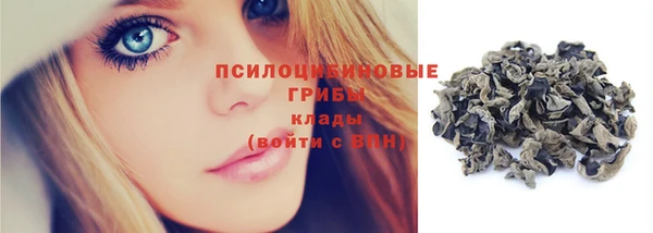 герыч Арсеньев