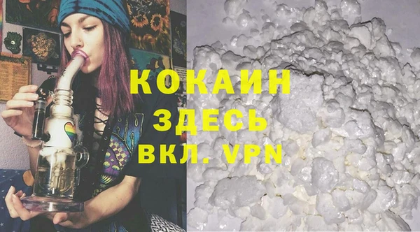 прущие грибы Аркадак