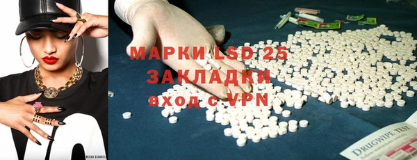 прущие грибы Аркадак