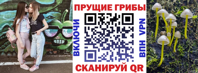 mega онион  магазин продажи наркотиков  Татарск  Галлюциногенные грибы прущие грибы 
